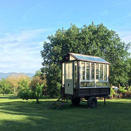 Agriturismo Poggio Salvi โซวิชิลเล ภายนอก รูปภาพ