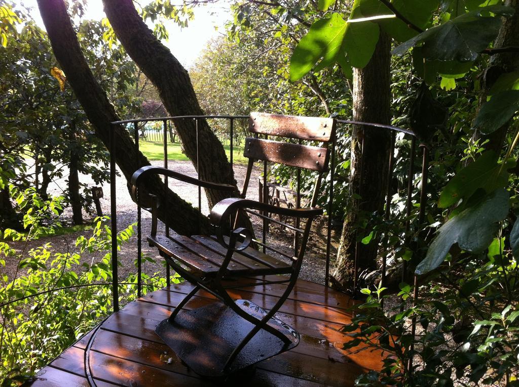 Agriturismo Poggio Salvi โซวิชิลเล ภายนอก รูปภาพ